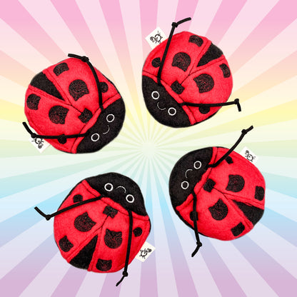 Spotted Black Cat Lady Bugs
