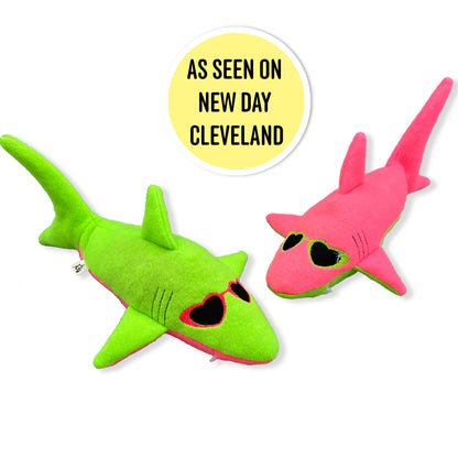 Phat Cat's Summer Shark As Seen On NEW DAY CLEVELAND