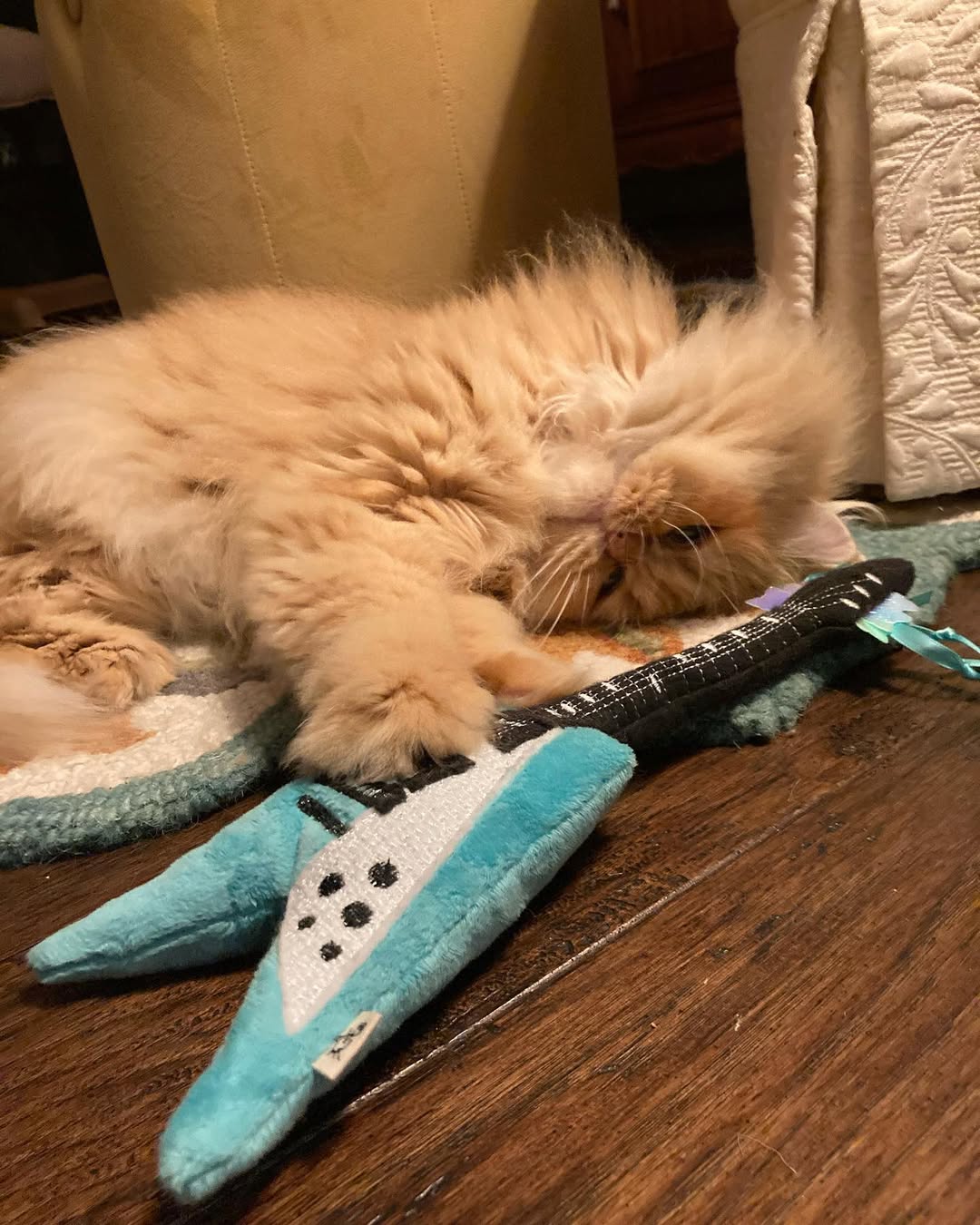 Meowsical Catnip and Crinkle Guitar