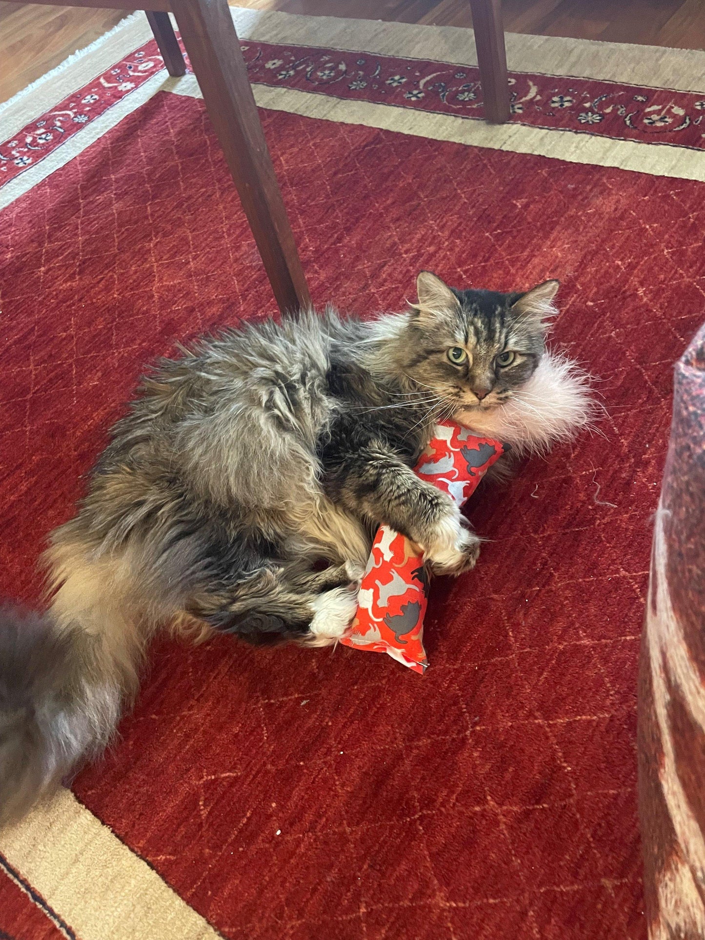 Catnip Kickin' Sticks Twin Pack