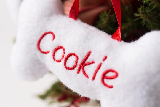 Personalized Dog Bone Ornament