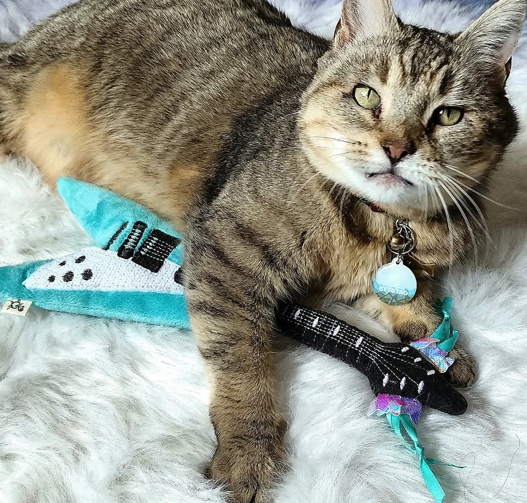 Meowsical Catnip and Crinkle Guitar