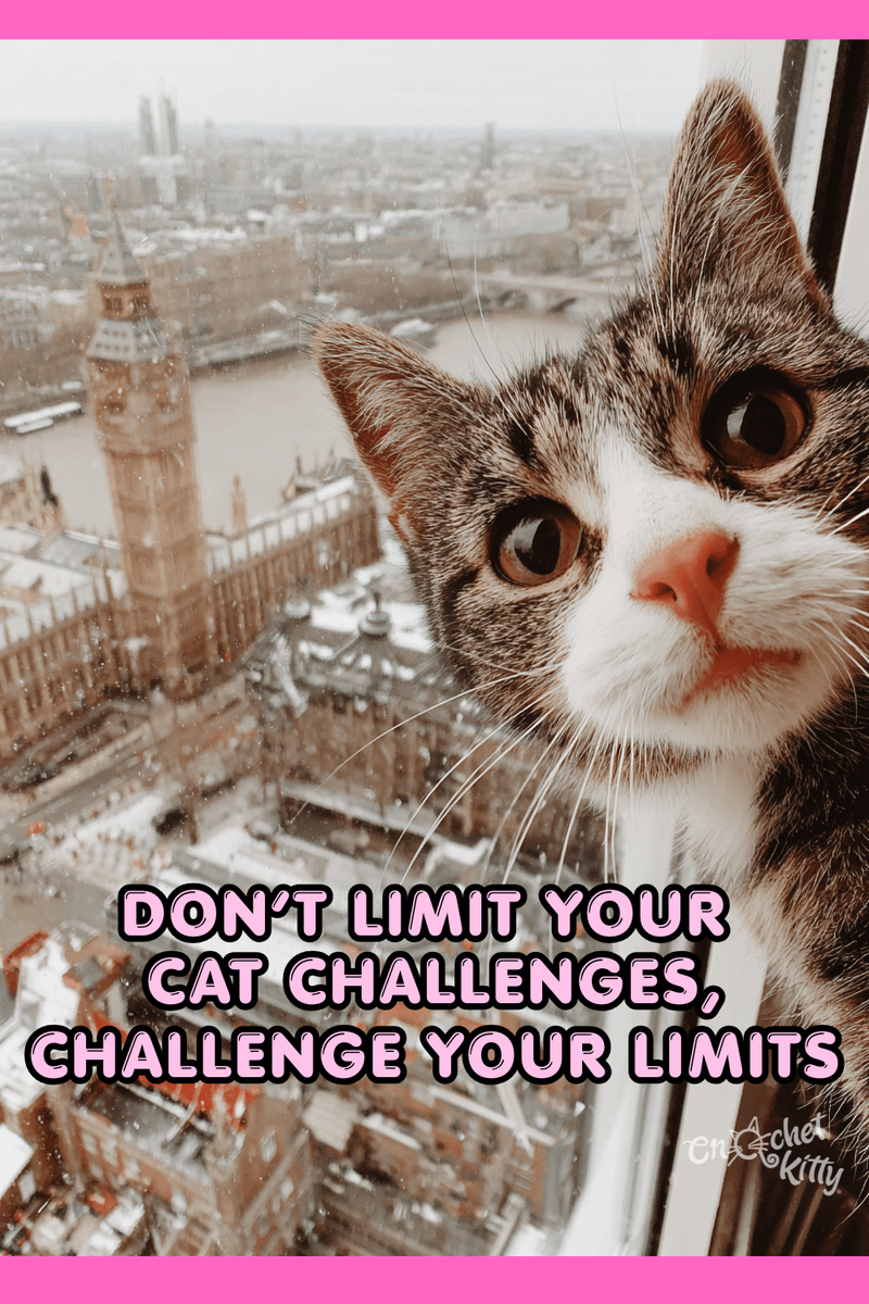 Cat Challenges