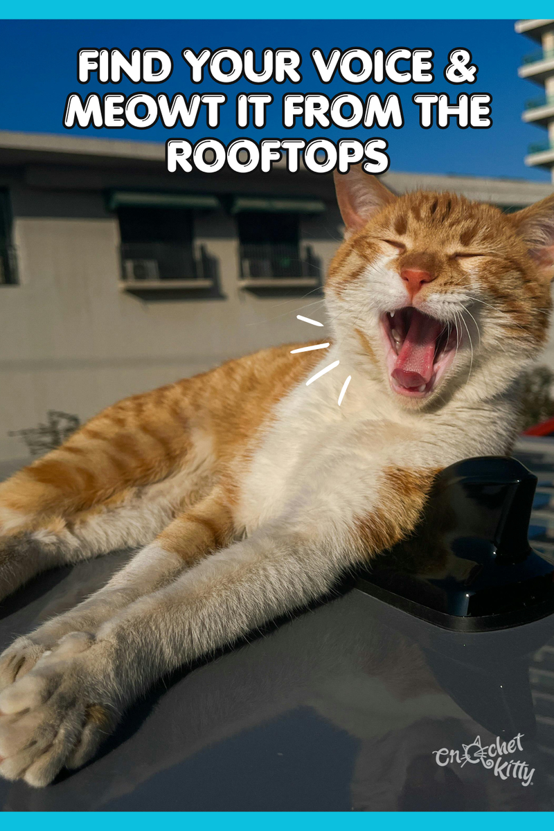 Meowt it From the Rooftops