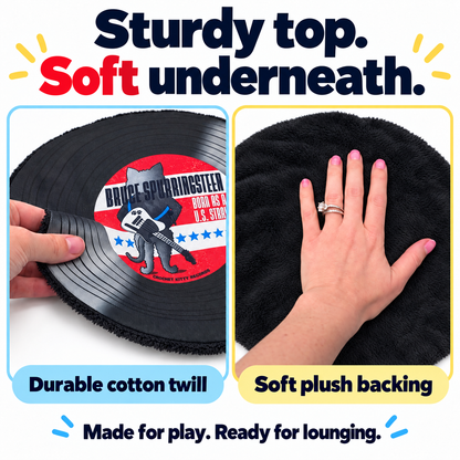 Bruce Spurringsteen Record Mat – Catnip Cat Toy