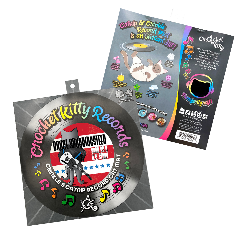 Bruce Spurringsteen Record Mat – Catnip Cat Toy