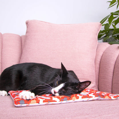 BLACK CAT Catnip Yoga Mat Cat Bed