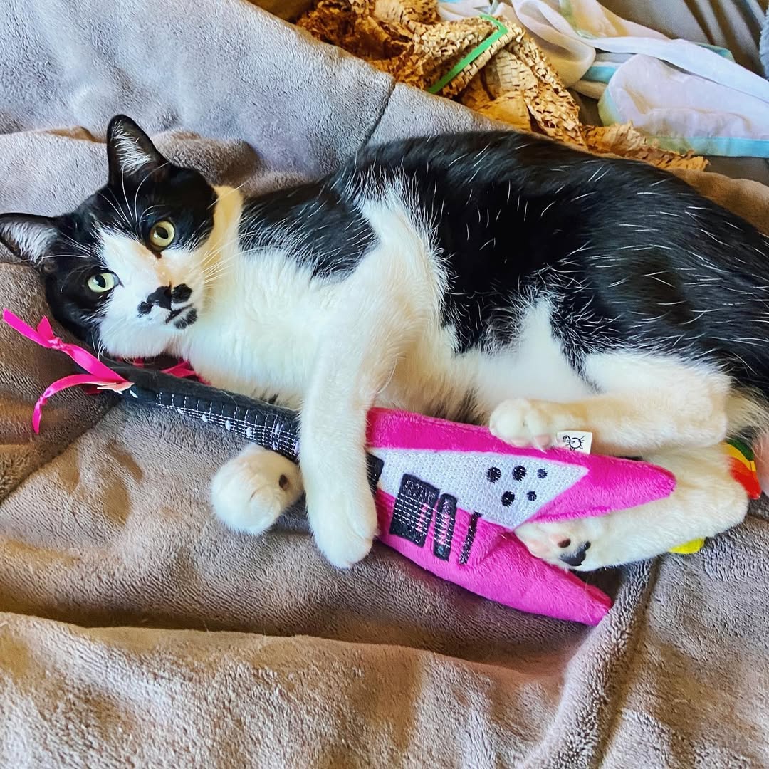Meowsical Catnip and Crinkle Guitar - Crochet Kitty