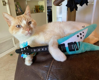 Meowsical Catnip and Crinkle Guitar