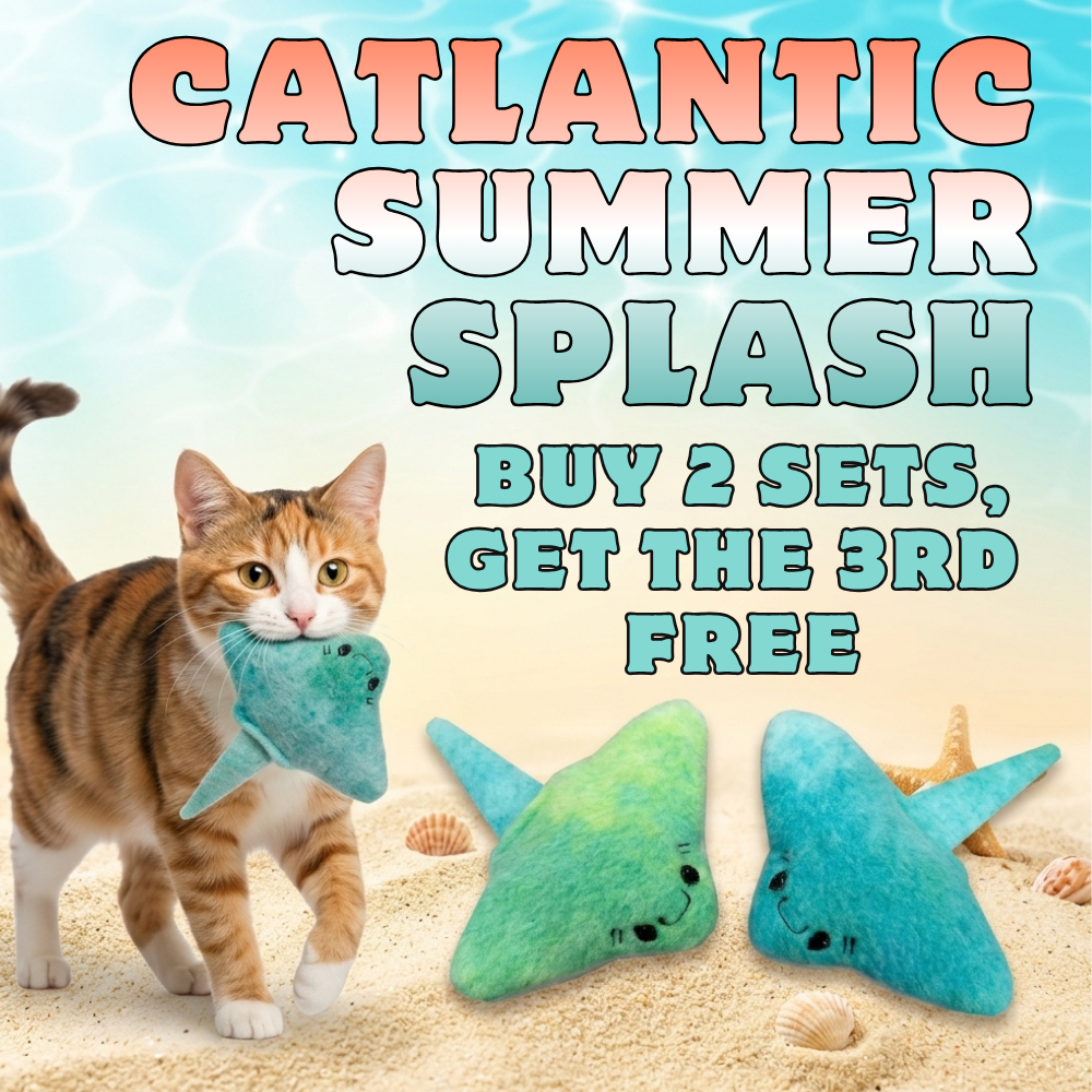 Cat playing with sting ray-shaped toys on a beach with promotional text overlay.