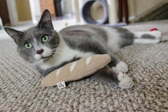 French Baguette with Catnip