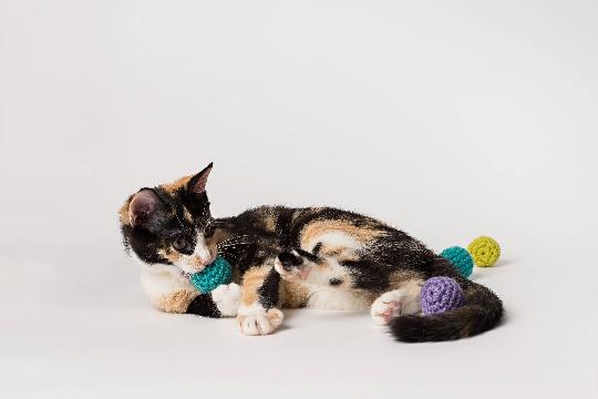 Crochet Balls with Bells 3 Pack Crochet Kitty